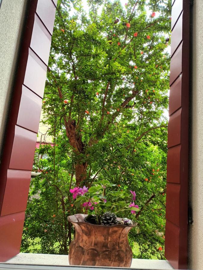 Il Melograno Hotel Vittorio Veneto Exterior photo